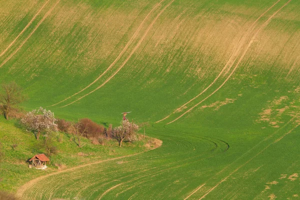 Górski Krajobraz Kwitnącymi Drzewami Ziarno Zaczyna Rosnąć Polach Tocznych — Zdjęcie stockowe