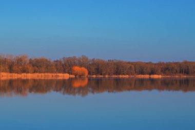 Vrkoc göletinin sakin suları. Arka planda suya yansıyan ağaçlar var. Avrupa 'daki Çek Cumhuriyeti' nin güzel manzarası.
