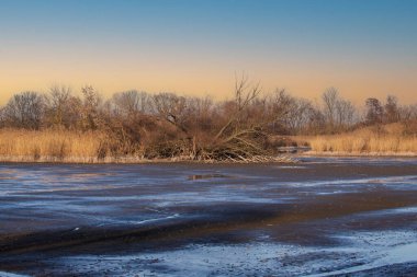 İçinde su kalıntıları olan kurumuş bir gölet. Arka planda ağaçlar var. Gökyüzü mavi.