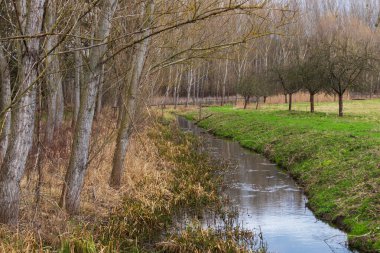 Küçük bir dere. Etrafta ağaçlar ve çayırlar var..