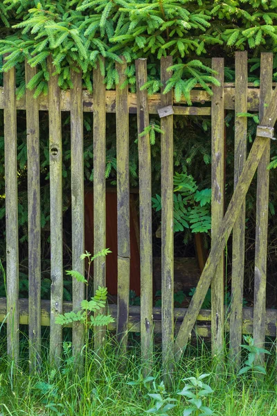 Valla Madera Vieja Hecha Tablones Hierba Verde Crece Alrededor Valla — Foto de Stock