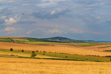 Çek Cumhuriyeti 'nde Strazovice yakınlarında güzel bir manzara. Tarlada tahıl hasadı. Mavi gökyüzü ve bulutlar.
