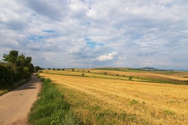 Çek Cumhuriyeti 'nde Strazovice yakınlarında güzel bir manzara. Tarlada tahıl hasadı. Mavi gökyüzü ve bulutlar.
