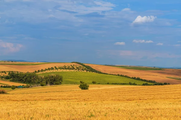 Beautiful Landscape Strazovice Czech Republic Harvested Grain Field Blue Sky — Stock Photo, Image