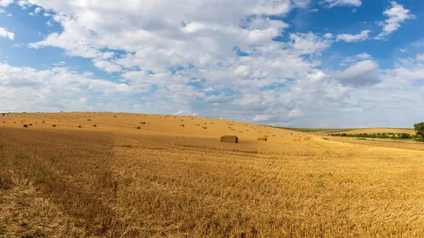 Schöne Landschaft Bei Strazovice Der Tschechischen Republik Getreideernte Auf Dem — Stockfoto