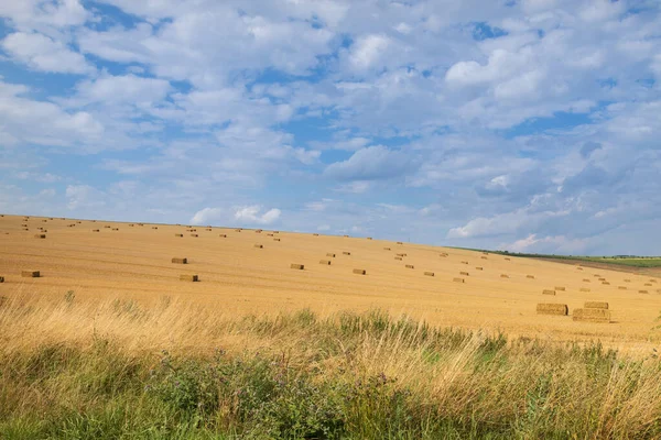 Schöne Landschaft Bei Strazovice Der Tschechischen Republik Getreideernte Auf Dem — Stockfoto