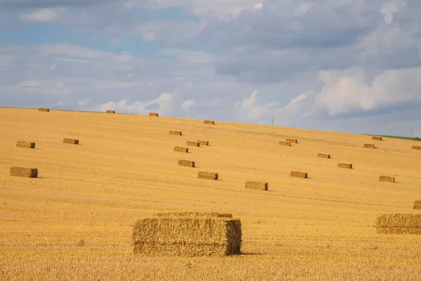 Schöne Landschaft Bei Strazovice Der Tschechischen Republik Getreideernte Auf Dem — Stockfoto