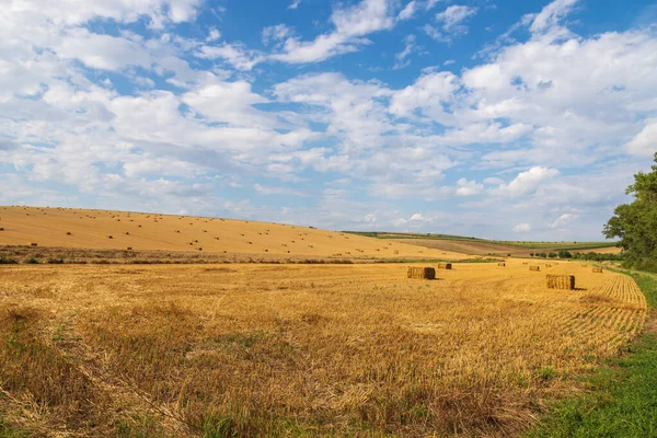 Schöne Landschaft Bei Strazovice Der Tschechischen Republik Getreideernte Auf Dem — Stockfoto