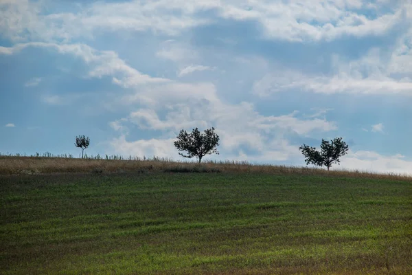 Пейзаж Стразовице Чехии Сбор Зерна Поле Синее Небо Облака — стоковое фото