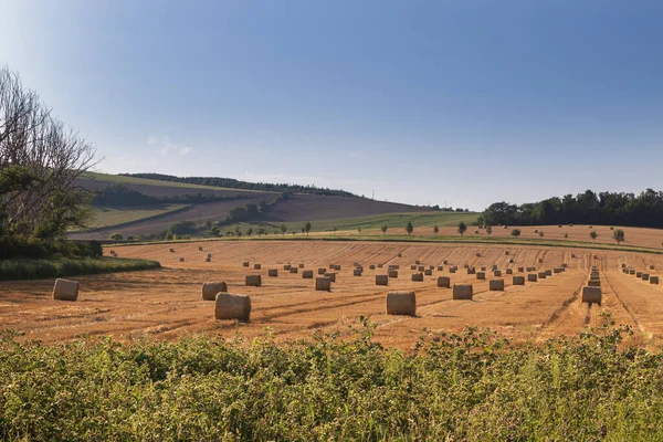 Landschaft Eines Feldes Auf Dem Sich Nach Der Getreideernte Strohballen — Stockfoto
