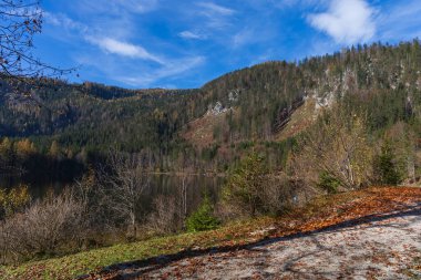 Göl manzarası. Odensee Avusturya Gölü