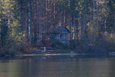 Göl manzarası. Odensee Avusturya Gölü