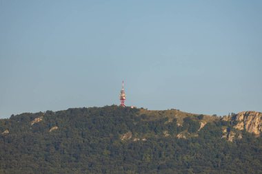 Yoğun ormanlık bir tepenin yakın plan görüntüsü. Telekomünikasyon kulesi ya da Palava 'nın altındaki verici tarafından yönetiliyor.