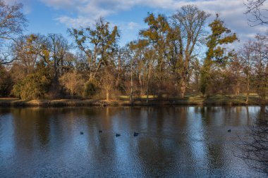 Tarihi bir şato veya şehir parkında geniş bir su kütlesi (göl veya göl) içeren sakin bir sonbahar sonu / kış manzarası. Su, altın ve kahverengi sonbahar yapraklarını ve kıyıdaki ağaçların çıplak dallarını yansıtır.