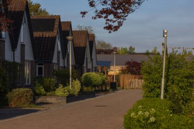 Bedum 'da sakin bir yerleşim bölgesinde modern teraslı evler. Tipik Hollanda mimarisi ve sabah güneşinde temiz sokaklar.