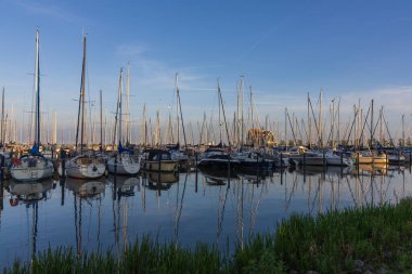 Volendam Limanı 'nda güneşli bir sabahta yelkenli sürüleri. Kuzey Hollanda 'da direkleri yansıtan sakin sular.