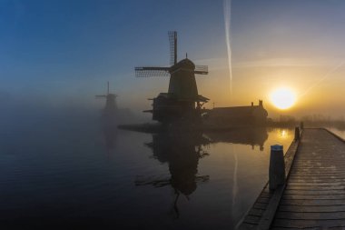 Zaanse Schans 'taki ikonik yel değirmenleri parlak sabah güneşinde. Geleneksel mimari Kuzey Hollanda 'daki Zaan nehrine yansıyor.
