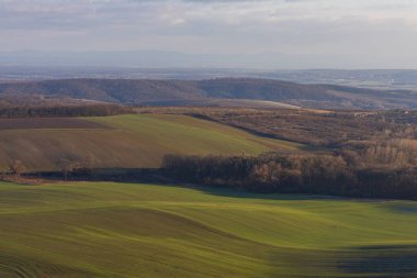 Güney Moravya, Klentnice yakınlarındaki tarlalar ve üzüm bağları. Resimli Palava tarım arazisi uzak ufkuyla kış güneşinde.
