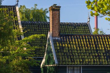 Zaanse Schans, Hollanda 'daki tarihi mimarinin yakın plan görüntüsü. Çekimde klasik bir tuğla baca ve yıpranmış fayanslar ve sabah güneşinde geleneksel yeşil ahşap gablar tarafından tamamlanmış yosunlar ile kaplı çatılar yer alıyor. Bir c örneği