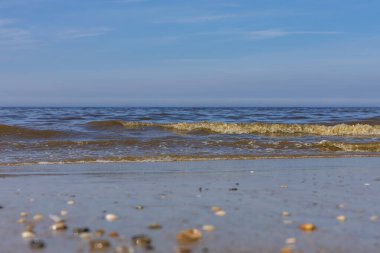 Kuzey Denizi 'nin kumlu kıyı şeridinin sanatsal zemin görüntüsü. Ön planda küçük kabuklar ve çakıl taşları hafifçe bulanıklaşır, temiz mavi bir gökyüzünün altında gözleri hafif bir kırılma dalgasına götürür. Yaz temaları, sakin doğa sahneleri ve ağlar için mükemmel.