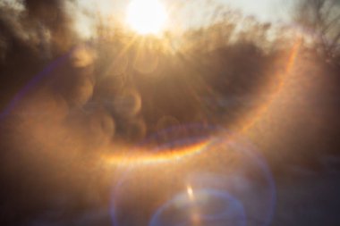 Güneşin kış boyunca ağaç dalları arasında parladığı atmosferik bir çekim. Görüntü güçlü dairesel bir mercek alevi, yumuşak bulanıklık ve sıcak altın tonlara sahiptir. Grafik tasarım projeleri için rüya gibi ya da ruhani bir arkaplan olarak mükemmel.