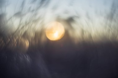 A highly abstract and dreamy shot of a rising sun in a winter landscape. The image uses extreme blur to create soft light circles (bokeh) in cool bluish and warm golden tones. Silhouettes of grass and trees are only hinted at, creating a peaceful and