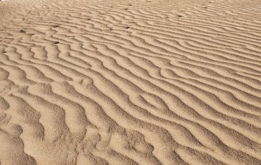 Maspalomas dunes içinde gran canaria
