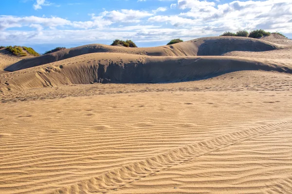 Maspalomas dunes içinde gran canaria