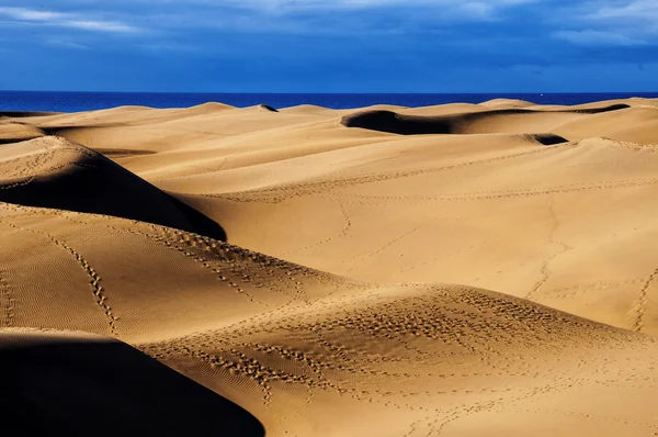 Wydmy Maspalomas na wyspie gran canaria — Zdjęcie stockowe