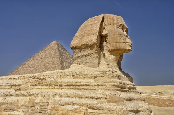 Sphinx contre de la pyramide de Gizeh — Photo