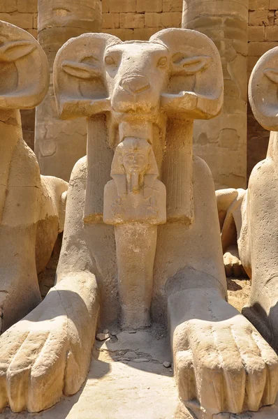 Beaucoup de sculptures égyptiennes en rangée — Photo