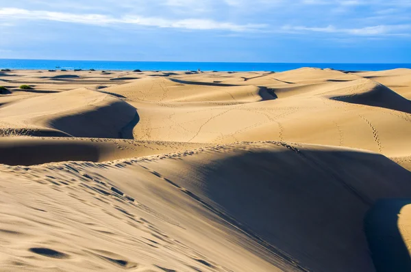 Wydmy Maspalomas na wyspie gran canaria — Zdjęcie stockowe