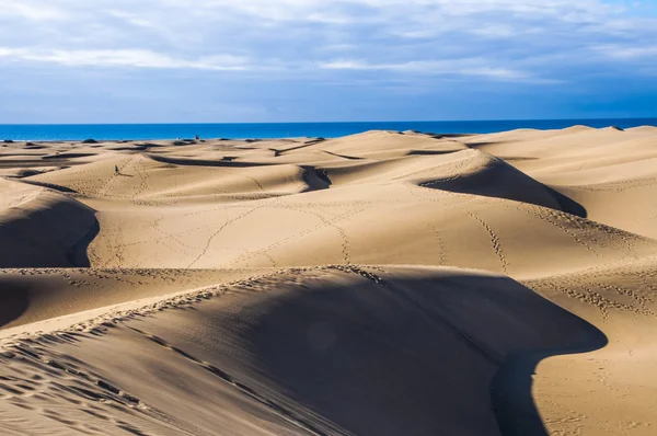 Maspalomas dunes içinde gran canaria