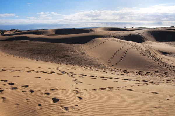 Wydmy Maspalomas na wyspie gran canaria — Zdjęcie stockowe