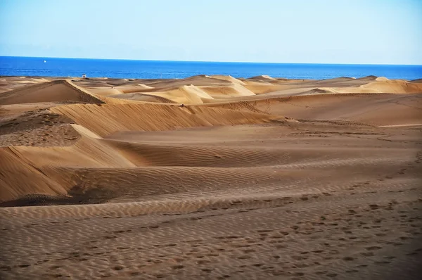 Wydmy Maspalomas na wyspie gran canaria — Zdjęcie stockowe