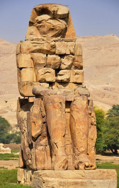 Colosses de Memnon en Egypte — Photo