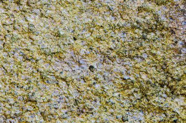 taş duvar Close-Up