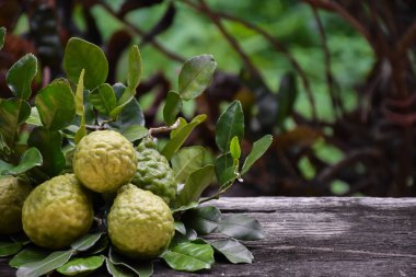 Ahşap masada kafeinsiz kireç meyveleri ve doğal bulanık arka plan. Kafir kireç meyvesi Tayland 'da besin ve insan sağlığını korumak için bitki olarak kullanılır..