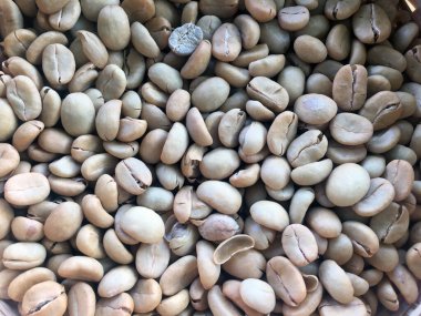 Yerel kavrulmuş kahve çekirdekleri, Nan, Tayland.