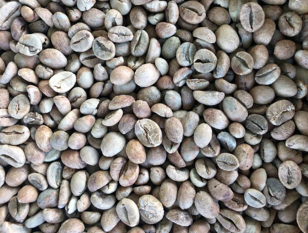 Närbild Lokala Rostade Kaffebönor Nan Thailand — Stockfoto