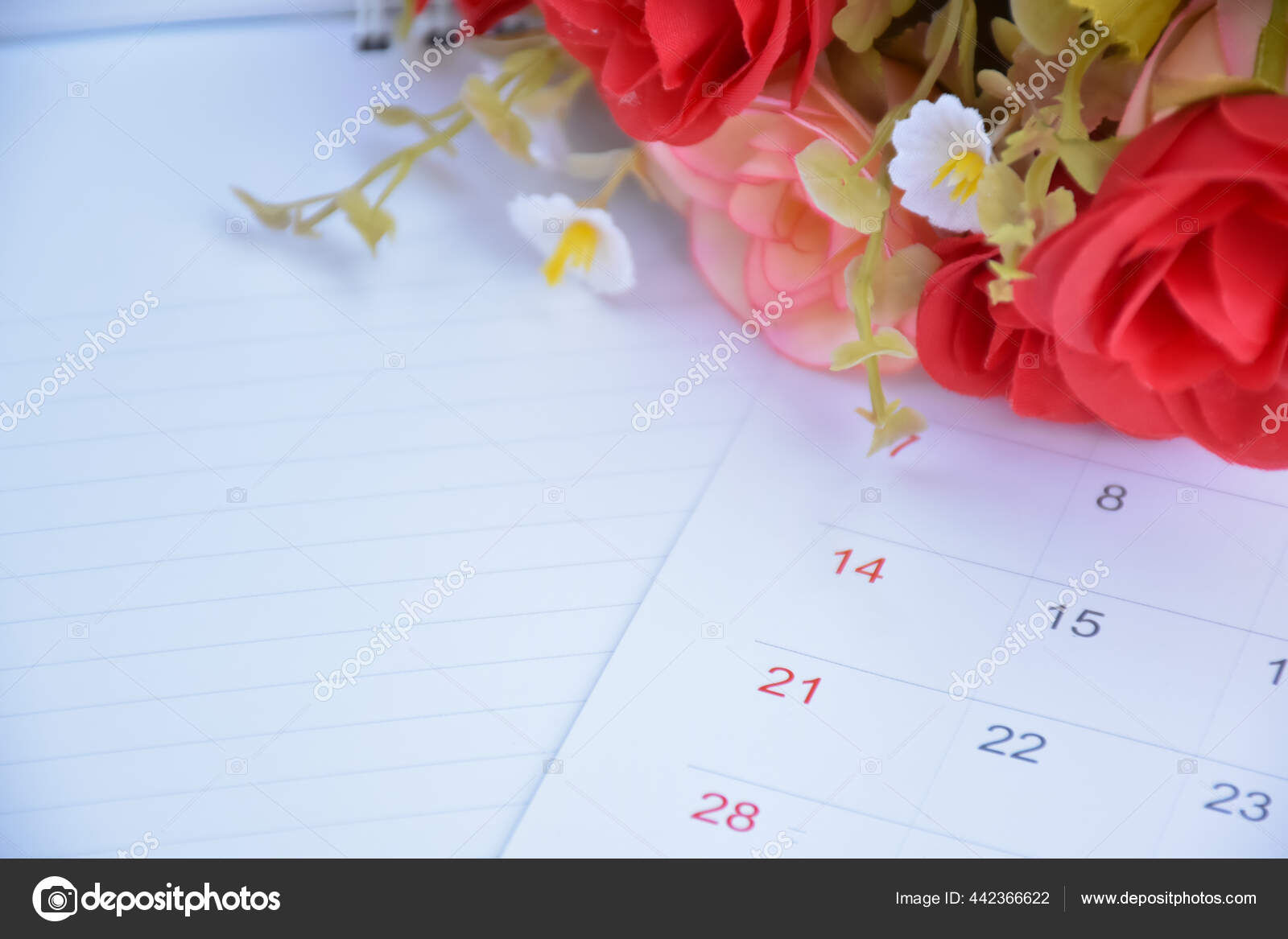 2月14日情人节的概念玫瑰花白色台历 图库照片 C Sophonnawit