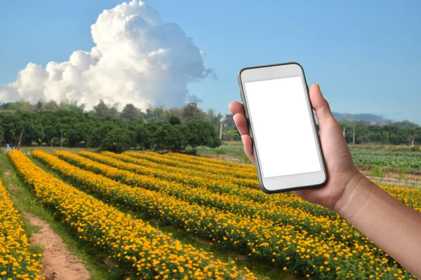 Blank Ekran Dotykowy Telefon Komórkowy Dłoni Zamazanym Tle Ogród Kwiat — Zdjęcie stockowe