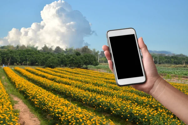 Blank Ekran Dotykowy Telefon Komórkowy Dłoni Zamazanym Tle Ogród Kwiat — Zdjęcie stockowe