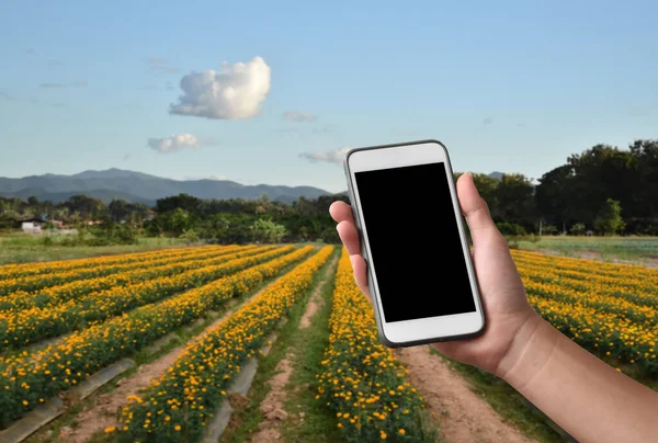 Blank Ekran Dotykowy Telefon Komórkowy Dłoni Zamazanym Tle Ogród Kwiat — Zdjęcie stockowe