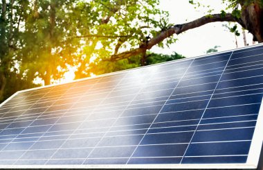 Mini solarcell paneli, güneş ışığından gelen enerjiyi depolamak için ağacın altına yerleştirildi ve gece parkın etrafında sokak lambaları vardı..