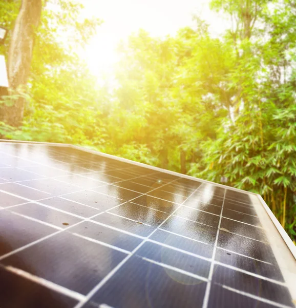 Mini Solarcell Panel Installed Tree Store Use Power Sunlight Street — Stock Photo, Image