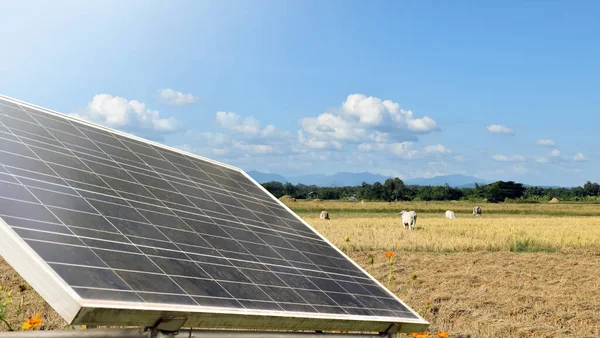 Painéis Fotovoltaicos Instalados Edifício Fundo Nublado Paisagem — Fotografia de Stock