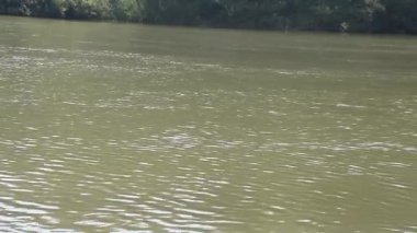 Sessiz güçle akan el değmemiş Nan Nehri, Kuzey Tayland çevresinin hayati bir ekosistemi ve can simidi..