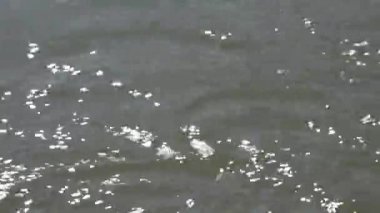 Sessiz güçle akan el değmemiş Nan Nehri, Kuzey Tayland çevresinin hayati bir ekosistemi ve can simidi..