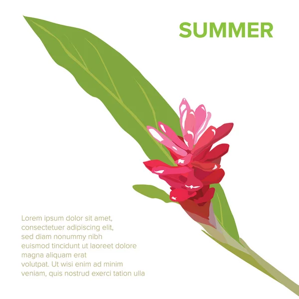 Flower of the summer background on illustration graphic vector